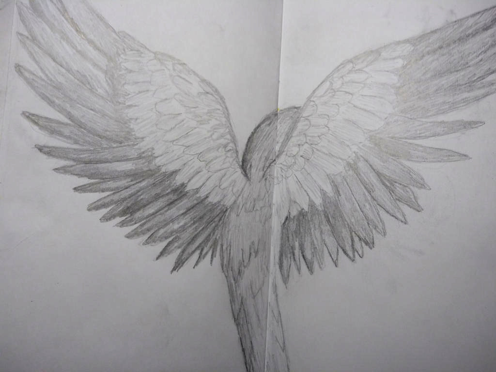 Bird Back
